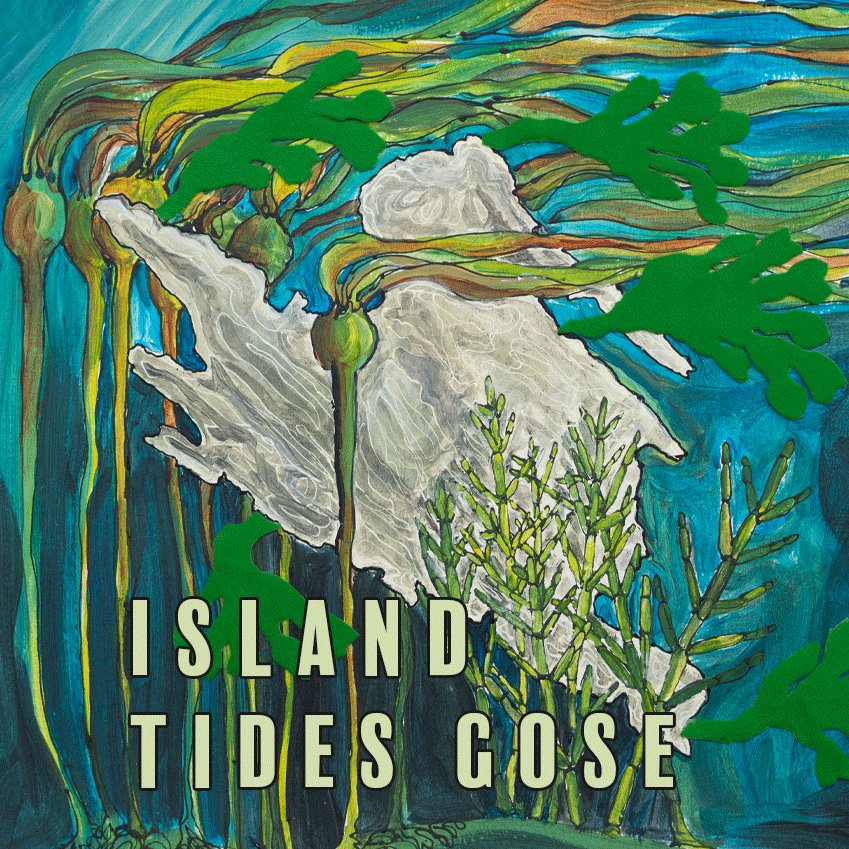 Mayne-Island-Island-Tides-Gose-sized-330Website